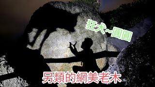 小琉球景點~路線公開~另類晚上的【網美老木】