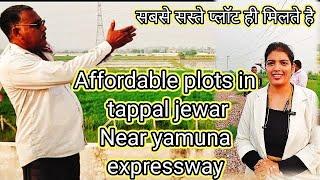 सबसे सस्ते प्लॉट ही मिलते है |Affordable plots in tappal jewar |Near yamuna expressway#plotsforsale