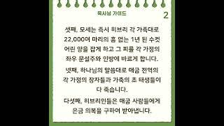 위드바이블 출애굽기 11~12장 가이드입니다!