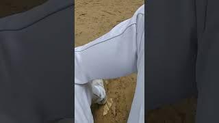 Abhishek saini#shorts #viral #shorts #viral #shorts #viral #shorts #viral