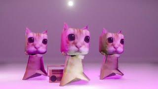 El Gato Cats dance to Funk do Bounce