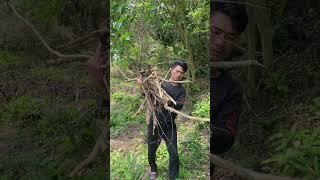 wild survival skills: #survival #skills #outdoors #bushcraft #tips #viral #shorts#discovery