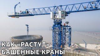 How Tower Cranes Build Themselves?