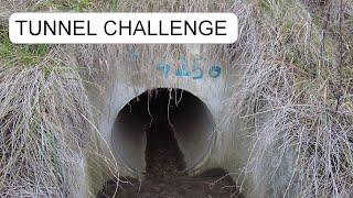 TUNNEL CHALLENGE - BIRTH EXPERIENCE