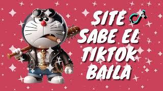 SI TE SABES EL TIKTOK BAILA! - 2024