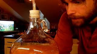 How to Make Dandelion Wine and Maple Mead (Acerglyn)