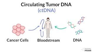 What is Circulating Tumor DNA (ctDNA)?