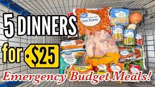 Make 5 EASY Dinners for $25! | Tasty Budget Meals & Walmart Grocery Haul | Julia Pacheco