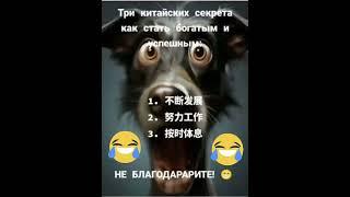 Три Китайских секрета как стать богатым и успешным