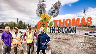 From the Beehive E96 - Thriving Roots; St. Thomas is Blooming!