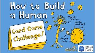 How to Build a Human Card Game Challenge - Introduction from Little Inventors