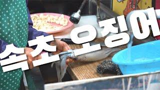 30만원으로 속초 한달살기 6일차 l 대포항 수산시장 속초 오징어 오징어볶음  l 강원도 #한달살기