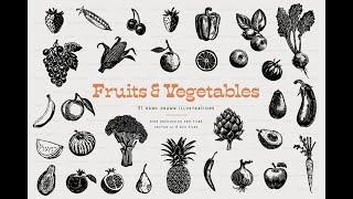 Fruit and Vegetable Illustrations Stock Graphics Download