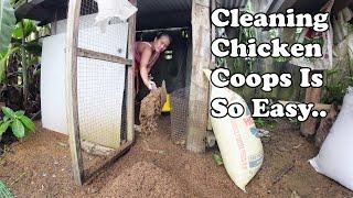 How I Keep Chicken Coops Odor FREE