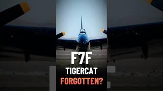 The Forgotten Fighter | Grumman F7F Tigercat's Untold Story!