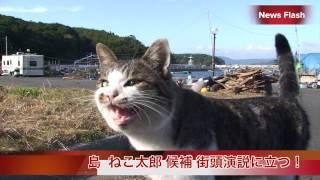 猫民党 島ねこ太郎候補 遊説開始／田代島