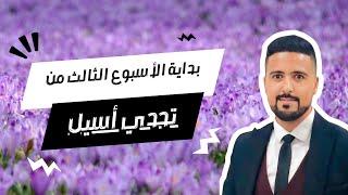 تحدي شهر أكتوبر لانقاص الوزن: الأسبوع الثالث