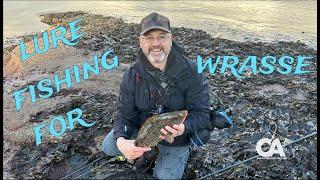 Wrasse Fishing with Lures - Shallow water in Winter