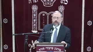 The Will In Halacha - Rabbi Ari Marburger