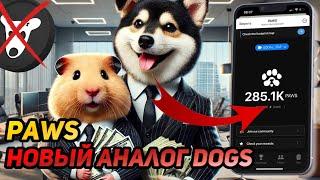 PAWS: СРОЧНО! РАЗДАСТ БОЛЬШЕ ЧЕМ NOTCOIN И HAMSTER KOMBAT? ПРОСТО ЗАБЕРИ ДРОП!