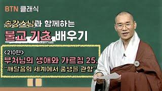 [BTN클래식]송강스님과 함께하는 불교 기초 배우기 - 210편 부처님의 생애와 가르침 25. '깨달음의 세계에서 중생을 관함'