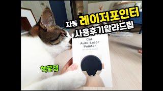 마! 자동 레이저포인터는 이렇게 노는거다. How the cat use laser-pointer/토토네토스트