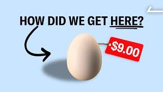 We Discovered the REAL Reason Egg Prices Skyrocketed