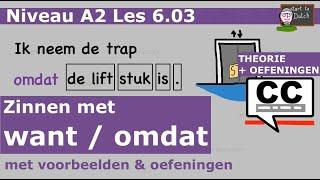 NT2 A2 B1 Want Omdat - Waarom?  - Oefeningen - Nederlands leren 1.2 2.1 grammar #learndutch Les 6.03