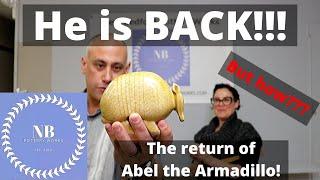 Keeping It Neat- The return of Abel the Armadillo