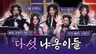 [FULL] 매력 넘치는 사랑스러운 고양이들 아일릿(ILLIT) 보는 라디오 | 웬디의 영스트리트 | 250617