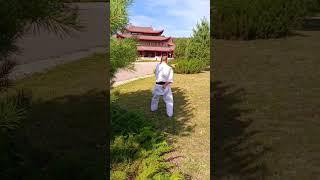 Seisan kata 十三 (セ ー サ ン) Uechi ryu Karate do Hozonkai 上地流唐手道保存会 / Dzen territory