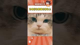 為什么好車牌都在豪車上#神操作 #每天一個用車知識 #幻想時刻