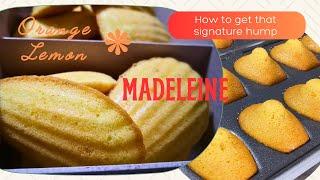 How to get that signature hump in your French Madeleine and with a hint of Orange and Lemon flavour