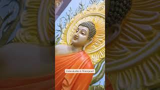  Lord Buddha Wall Mural | 7x3.5 ft Serenity and Grace 