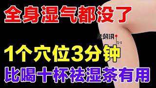常按这个穴位，比喝十杯“祛湿茶”还管用，每天按揉3分钟，全身湿气都没了【健康大诊室】