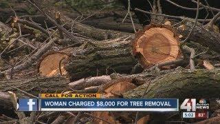 Tree trimming company charges woman $8,000 for two trees