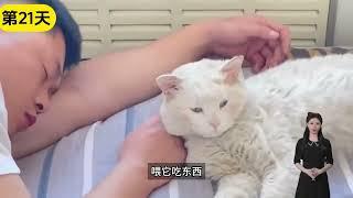 流浪猫在楼道求救，只有女子1人开门，谁知这举动竟改变女子命运