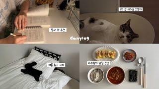 자취생 브이로그, 30대 1인가구의 자취라이프‍ (여름 침구 교체, 집밥 해먹기, 필사 책 추천, 강화도 캠핑, 악세사리 하울, 그리고 고양이) VLOG