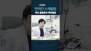 강아지 스케일링