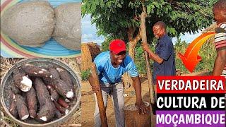 VERDADEIRA CULTURA DE MOÇAMBIQUE