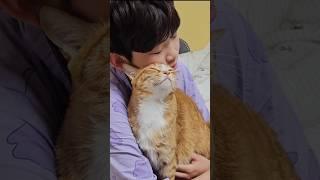 주말에 늦잠자는 짜근집사 옆에서 계속 울어서 깨운 꼬질꼬질 치즈 #개냥이  #고양이