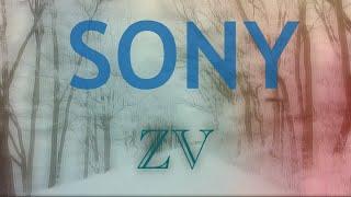 Exclusive Deals on the Sony ZV-1: Unbeatable Offers Await!" | Amazon Luxe