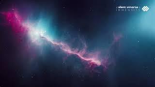 Silent Universe - The Mission
