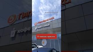 Очень жалко растения  #пятерочка #обзор #растения #комнатныецветы #цветыдлядома