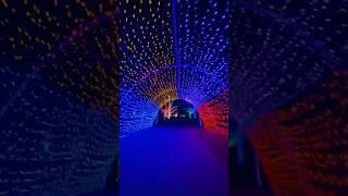 Christmas Light Tunnel | Fireflies | Owl City