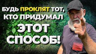 Соломенное земледелье или картофель в развал?//Живая Баня Иван Бояринцев