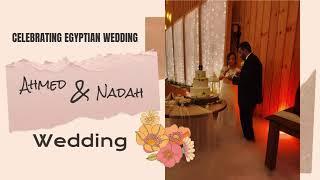 Best Egyptian Wedding Dancing / Egyptian DJ / Connecticut Egyptian DJ / Hot Wedding