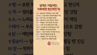 성격은 거칠지만, 가족에겐 헌신적인 띠 순위