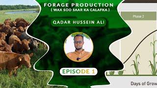 Forage Production Episode 1