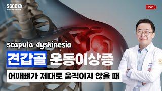 [ 비온뒤 X 대구 삼성글로벌정형외과 ]  어깨뼈(견갑골)가 제대로 움직이지 않을 때, 어떻게 해야 할까？#대구정형외과 #비온뒤 #비온뒤의학채널 #대구어깨수술 #어깨병원 #견갑골